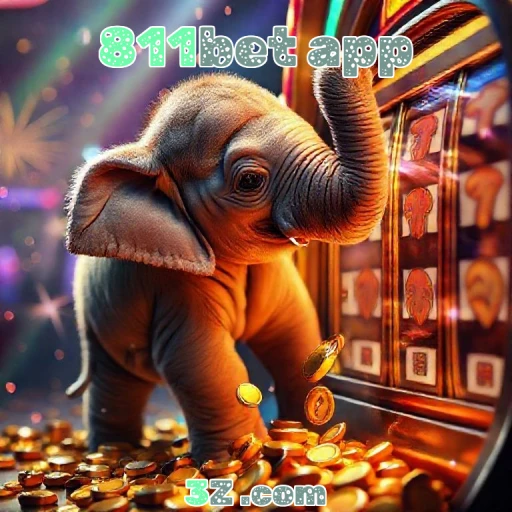 811bet app Termos e Condições